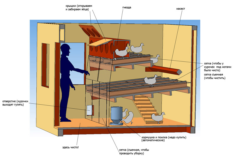 Строительство курятника зимнего